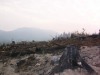 Terrace Mt. fire